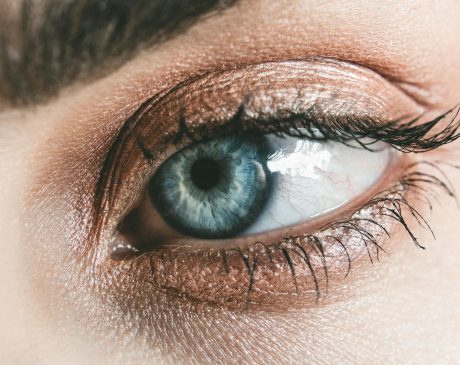 Oog