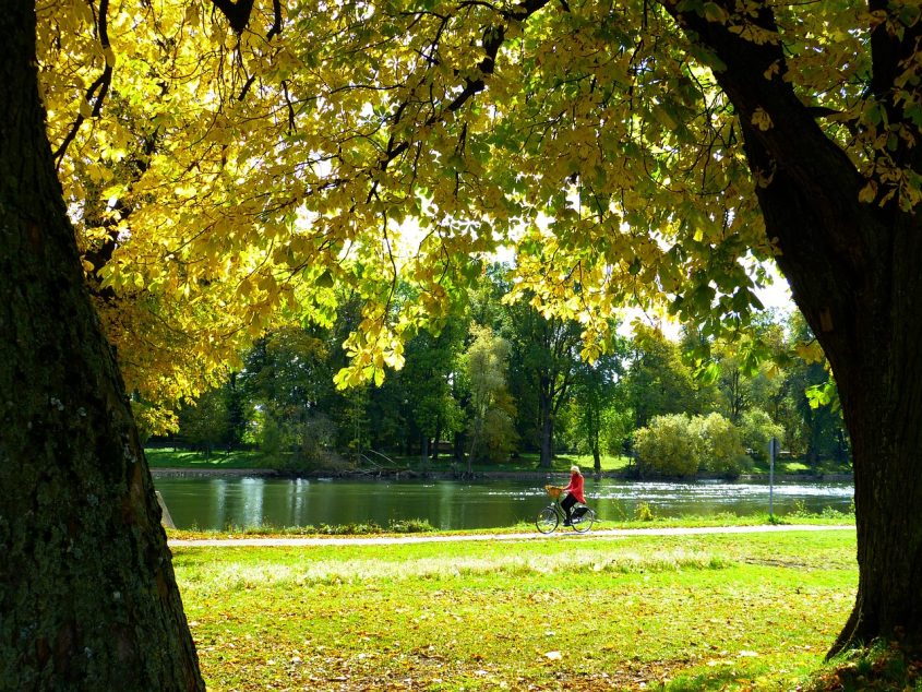 Fietsen in de natuur: het ultieme avontuur op de fiets
